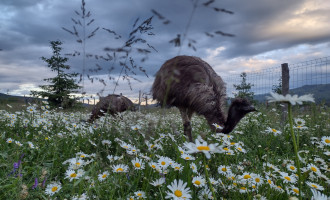 IMG_20230613_195140067_HDR (3).jpg